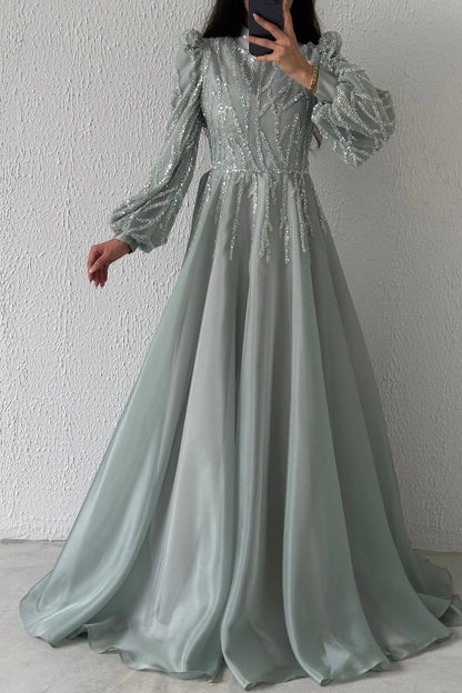 Endless Elegance: Organza Embroidered Evening Dress 0003